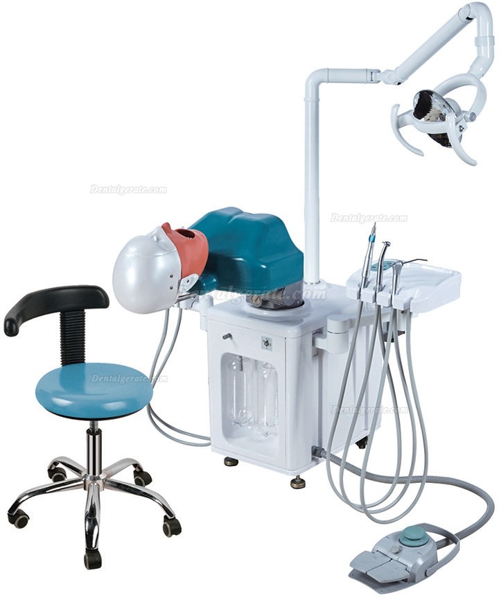 Jingle JG-A2 Phantomkopf Zahnmedizin-Patientensimulator Mit Zahnarzthocker und Zahnlampe